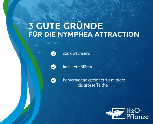 Kaufgründe